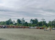 Kinerja CPNS 2024 Akan Dievaluasi Setahun Ini