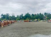 Hasil Seleksi Terbuka Pejabat Pimpinan Tinggi Pratama Diumumkan 10 Hari Lagi