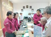 Pertama di Papua Tengah, Menteri PAN RB Beri Apresiasi Mall Pelayanan Publik Mimika
