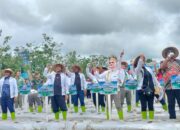 DPD RI Luncurkan Program Ketahanan Pangan di Papua Tengah, Fokus Perkuat Pertanian Lokal