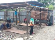 Dapat Bantuan Pembangunan Honai, Masyarakat Suku Mee di Mimika Sampaikan Terima Kasih ke Pemerintah Pusat