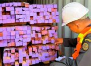 Pos Pelayanan Pelabuhan Amamapare Periksa 36 Kontainer Komoditas Kayu