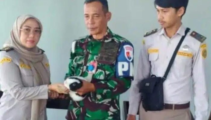 Karantina Papua Tengah Gagalkan Penyelundupan Satwa Keluar Timika