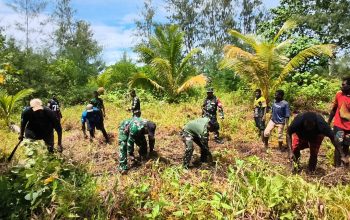 Semangat Gotong Royong, Satgas TMMD Kodim 1710/Mimika Buka Lahan Pertanian Bersama Warga di Kampung Keakwa