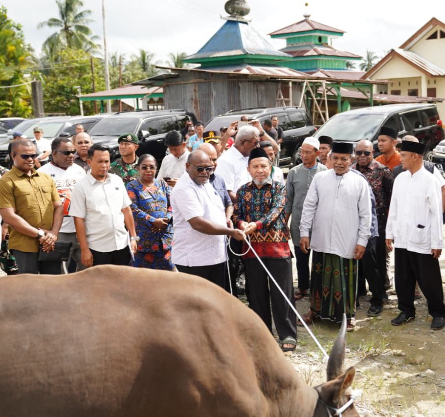 Pemprov Papua Tengah dan Pemkab Mimika Serahkan Puluhan Hewan Kurban Untuk Hari Raya Idul Adha 1447 Hijriah