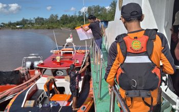 Seorang Pria Pencari Karaka Diterkam Buaya di Sungai Ninapu