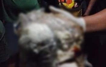 Di Timika, Warga Temukan Sesosok Bayi Dalam Kantong Plastik di Tempat Sampah