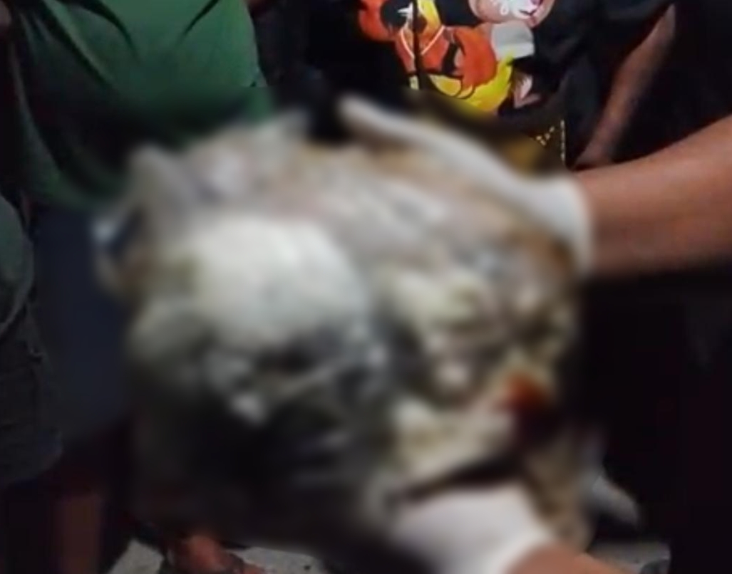 Di Timika, Warga Temukan Sesosok Bayi Dalam Kantong Plastik di Tempat Sampah