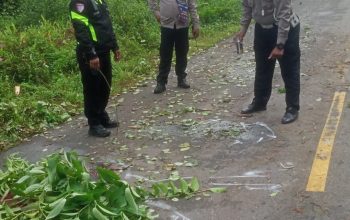 Laka Lantas di Jalan Poros Logpon Pengendara Honda Blade Meninggal Dunia
