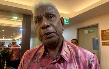 Pemkab Mimika Wacanakan Bangun Kota Baru di Tiga Distrik, Salah Satunya Kota Potowayburu