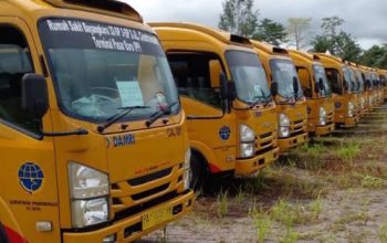 Pemkab Mimika Lanjutkan Program Angkutan Umum Gratis untuk Masyarakat dan Pelajar OAP Sepanjang 2026
