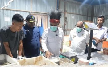 Dampingi Wagub Papua Tengah Kunker di Mimika, Wakil Bupati Mimika Tegaskan Komitmen Perkuat Sinergi Pembangunan